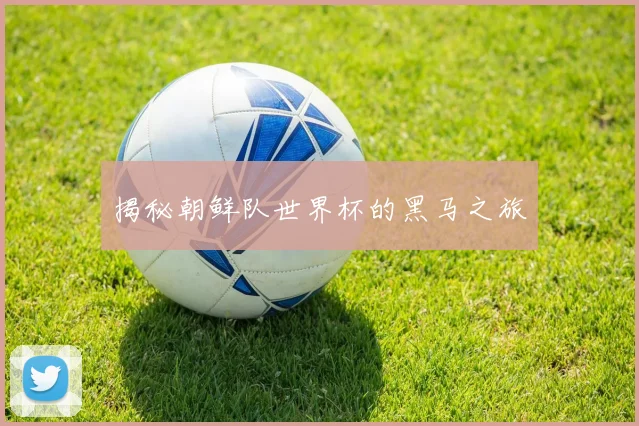 揭秘朝鲜队世界杯的黑马之旅